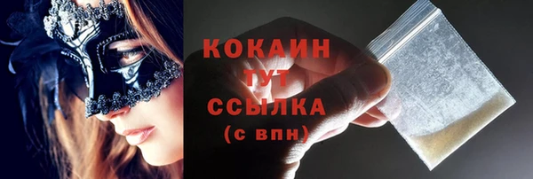 прущий лед Богданович