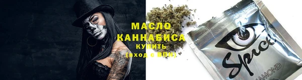 прущий лед Богданович