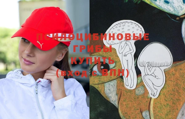 меф Богородск