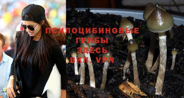 прущий лед Богданович