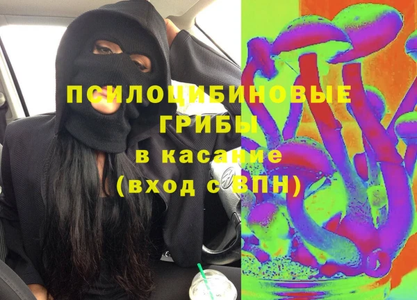 прущий лед Богданович
