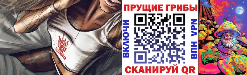 Псилоцибиновые грибы GOLDEN TEACHER хочу наркоту Наро-Фоминск