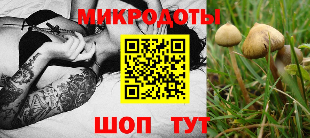 Псилоцибиновые грибы Psilocybine cubensis  Вход с VPN  Наро-Фоминск  Галлюциногенные грибы Cubensis 