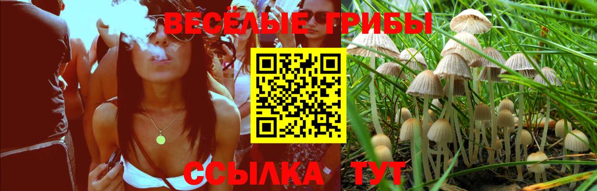 Галлюциногенные грибы ЛСД Наро-Фоминск